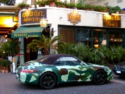 156  camouflage Porsche.JPG